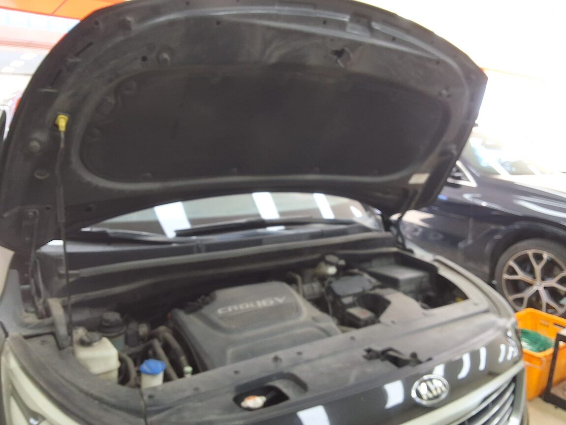 KIA ALL NEW CARNIVAL 9-SEATER DIESEL NOBLESSE 2015 - zdjęcie 18