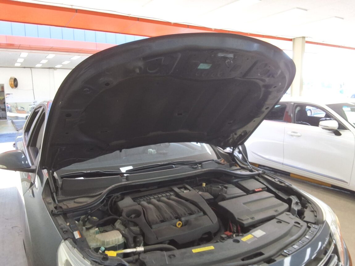 RENAULT (SAMSUNG) SM5 NOVA SE 2016 - zdjęcie 18