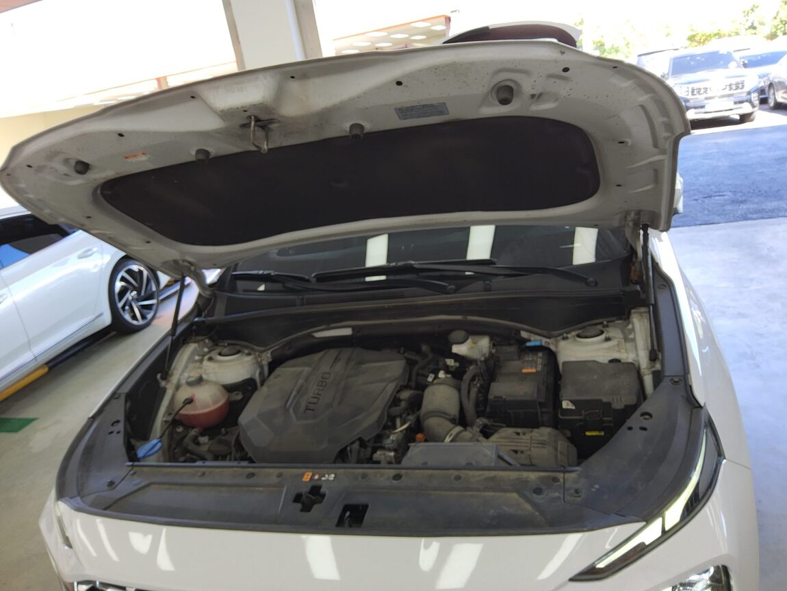 HYUNDAI THE NEW SANTA FE DIESEL 2.2 2WD PRESTIGE 2021 - zdjęcie 20