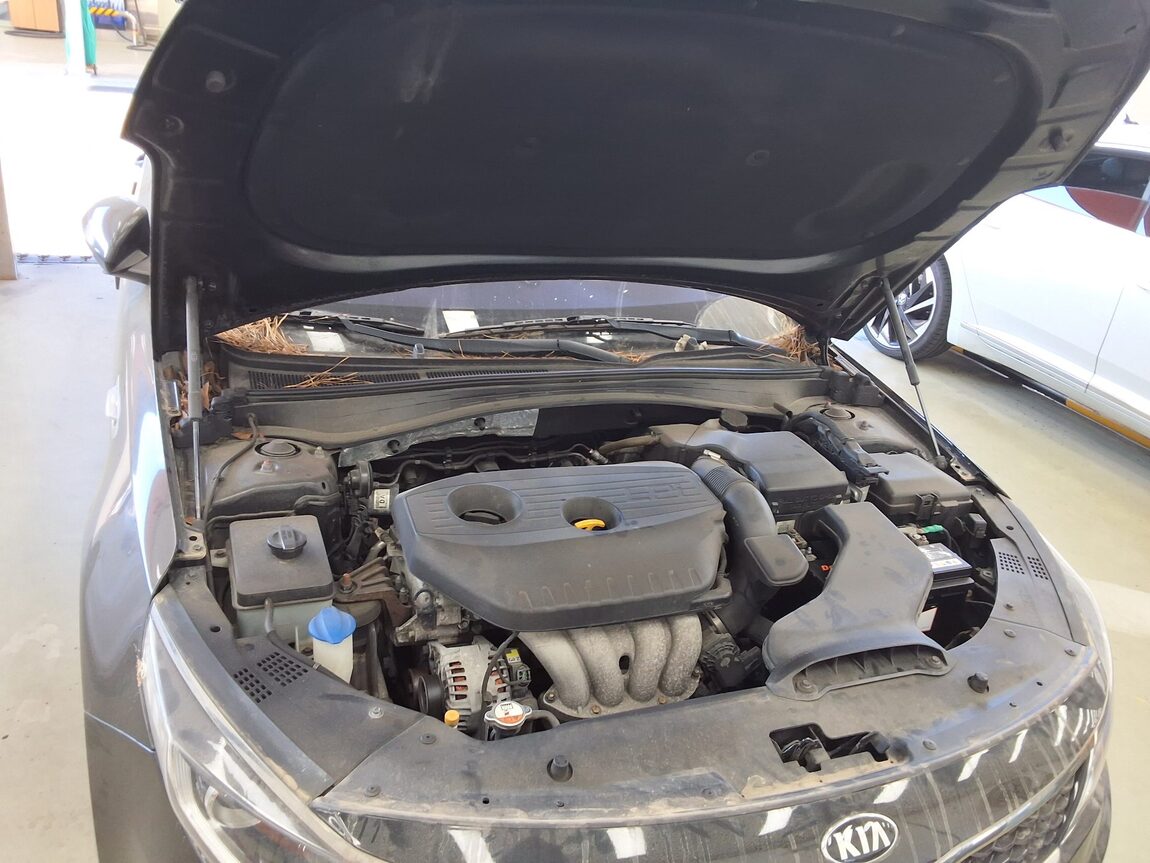 KIA NEW K5 2.0 LPI RENTAL CAR PRESTIGE MX 2016 - zdjęcie 19