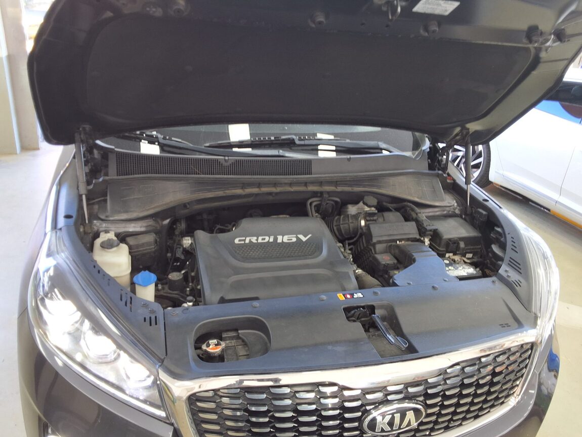 KIA THE NEW SORENTO DIESEL R2.2 2WD NOBLESSE SPECIAL 2018 - zdjęcie 19