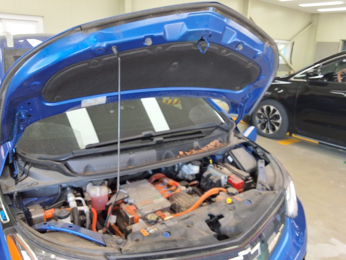 CHEVROLET (DAEWOO) BOLT EV 2WD PREMIER 2019 - zdjęcie 18