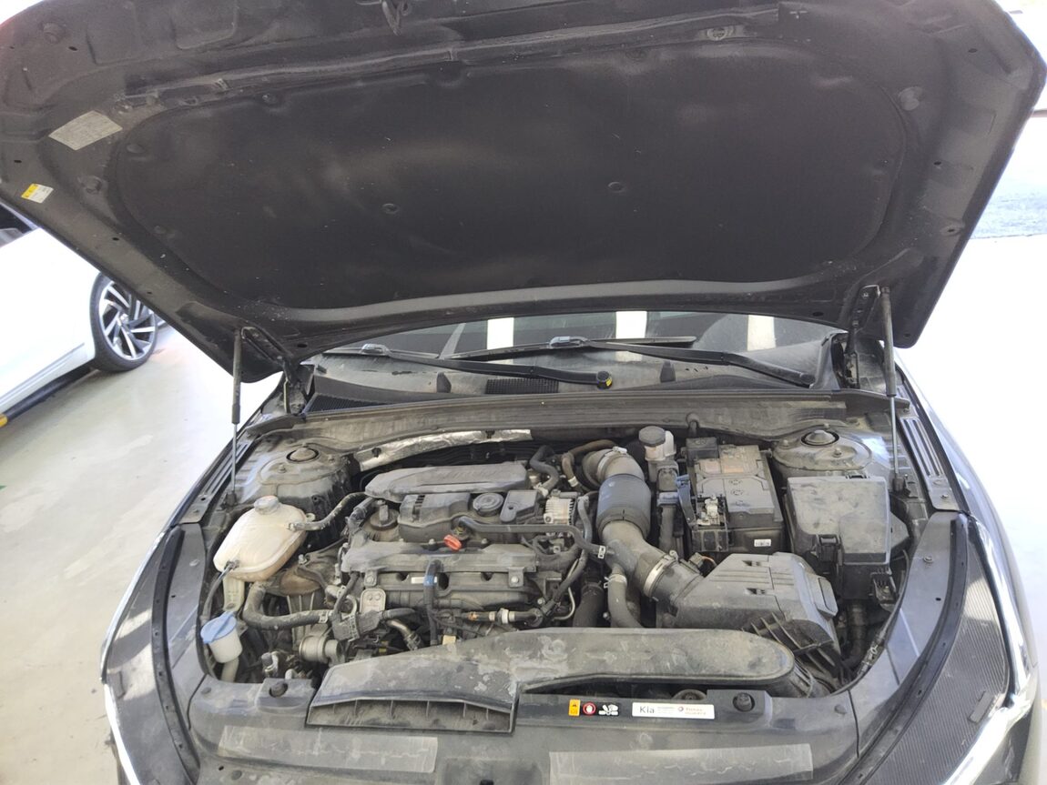 KIA NEW K5 (DL3) 1.6 GASOLINE TURBO SIGNATURE 2023 - zdjęcie 21