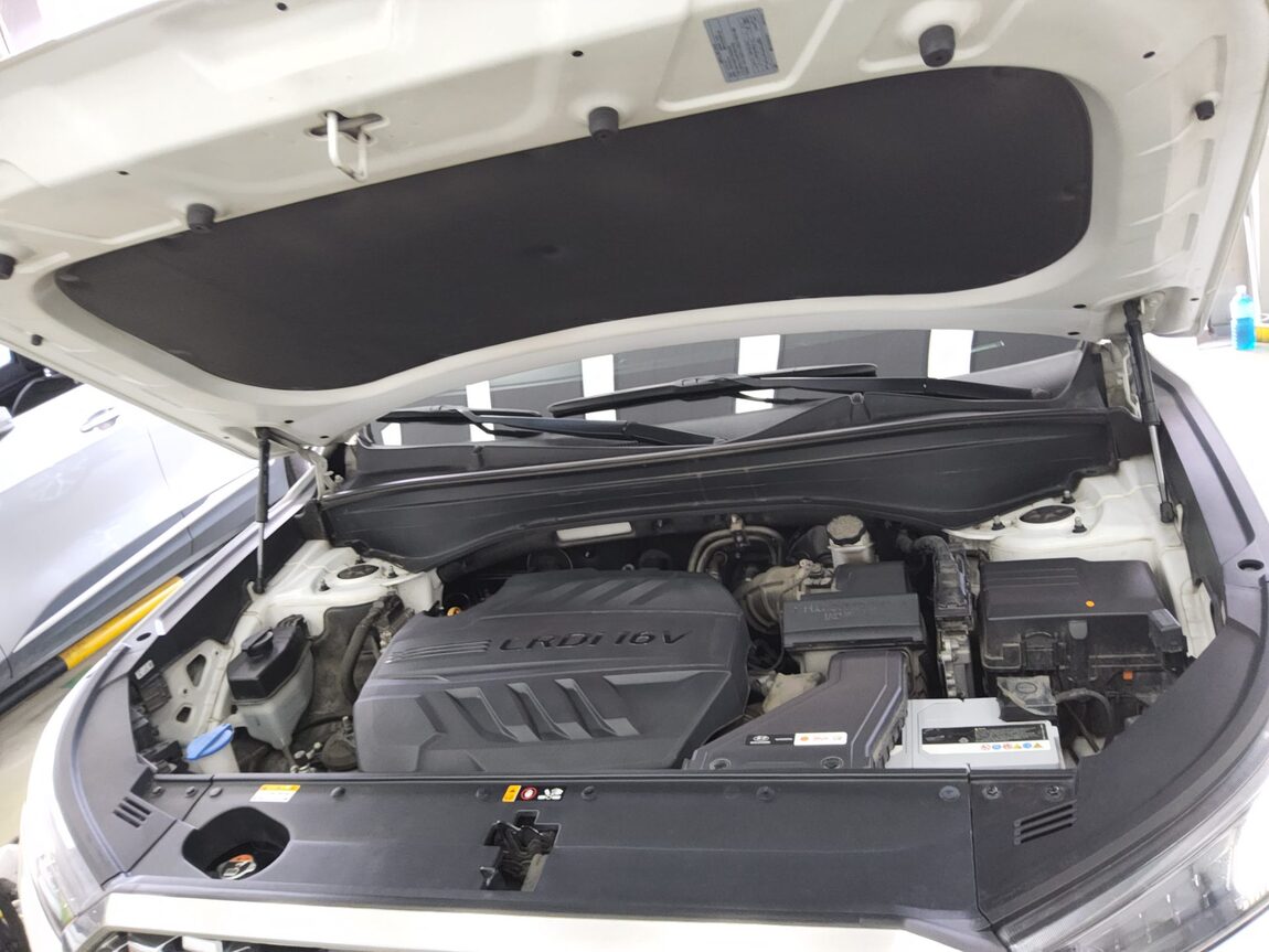 HYUNDAI PALISADE 2.2 DIESEL PRESTIGE 2019 - zdjęcie 19