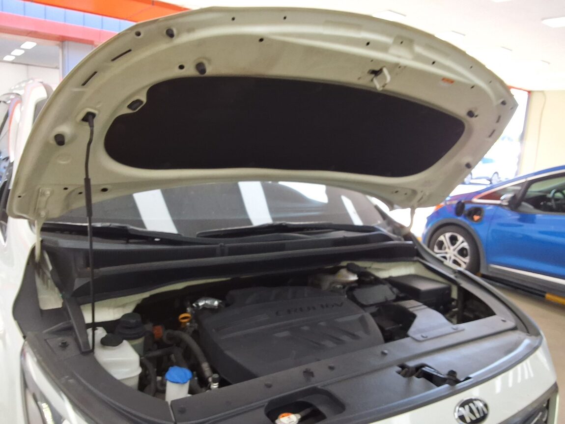KIA THE NEW CARNIVAL 9-SEATER DIESEL PRESTIGE 2019 - zdjęcie 18