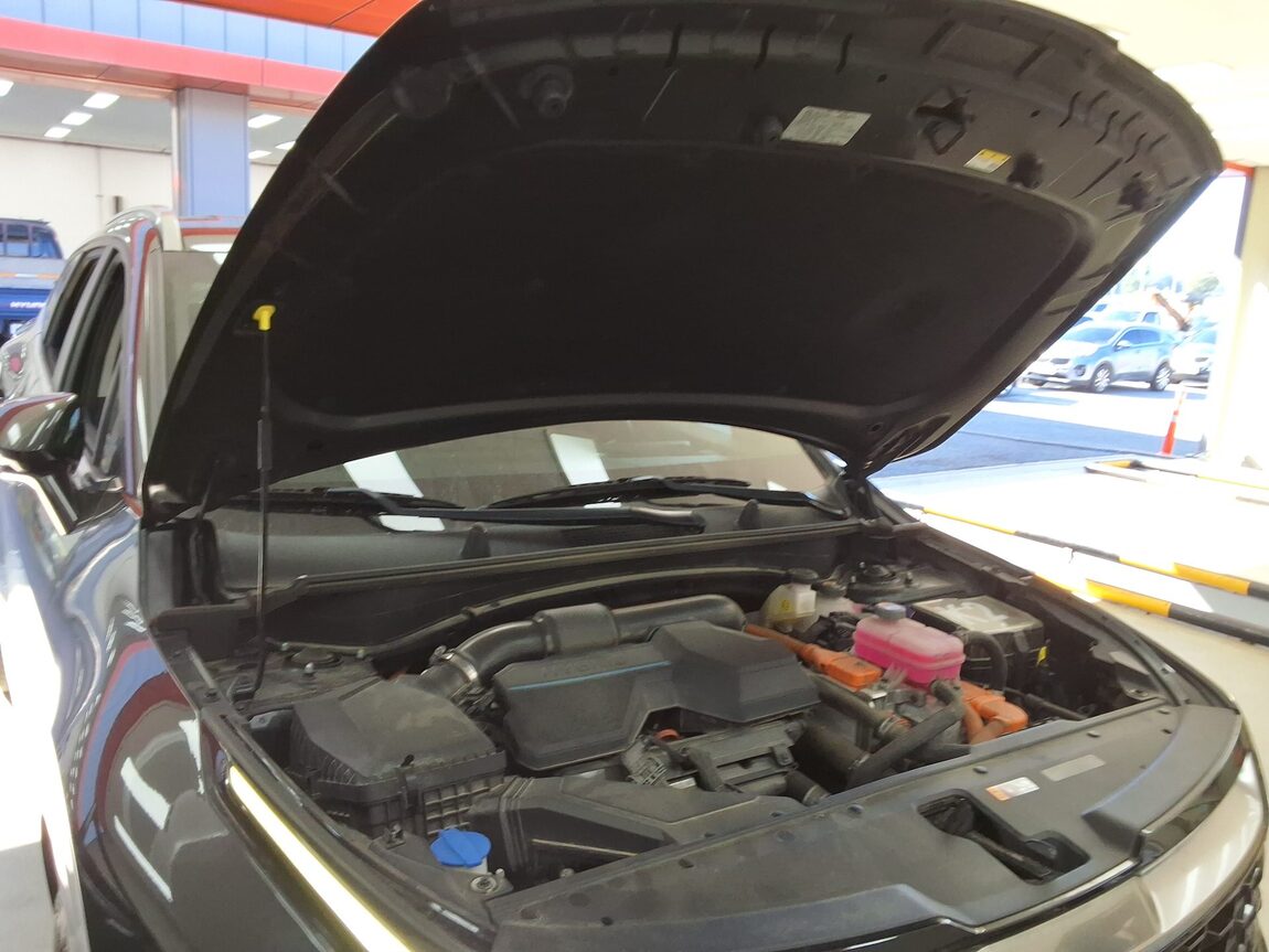 KIA THE ALL NEW SPORTAGE HYBRID 1.6 HEV NOBLESSE 2022 - zdjęcie 18