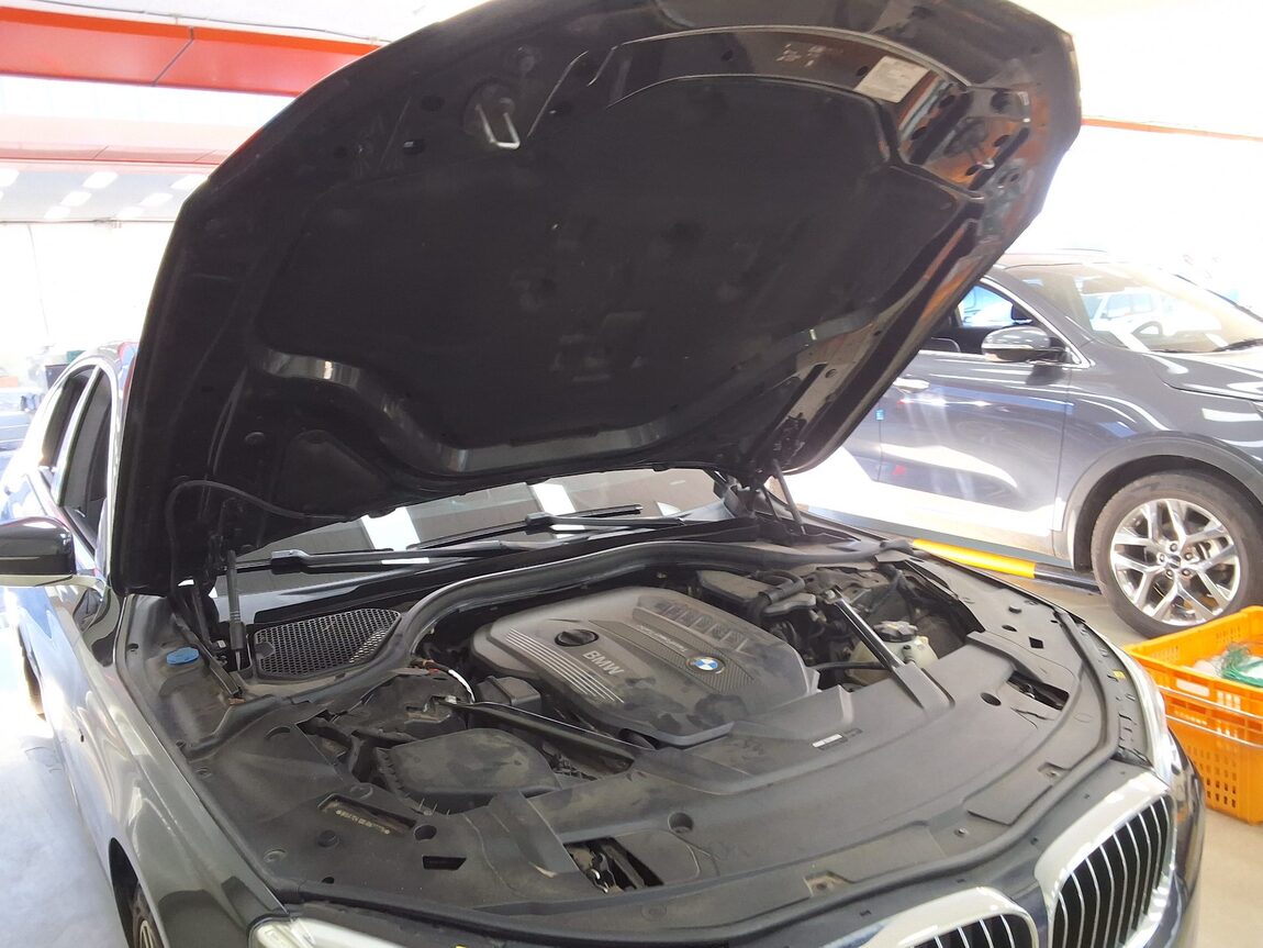 BMW 7 SERIES (6TH GEN) 730d xDRIVE M SPORT PACK 2018 - zdjęcie 18
