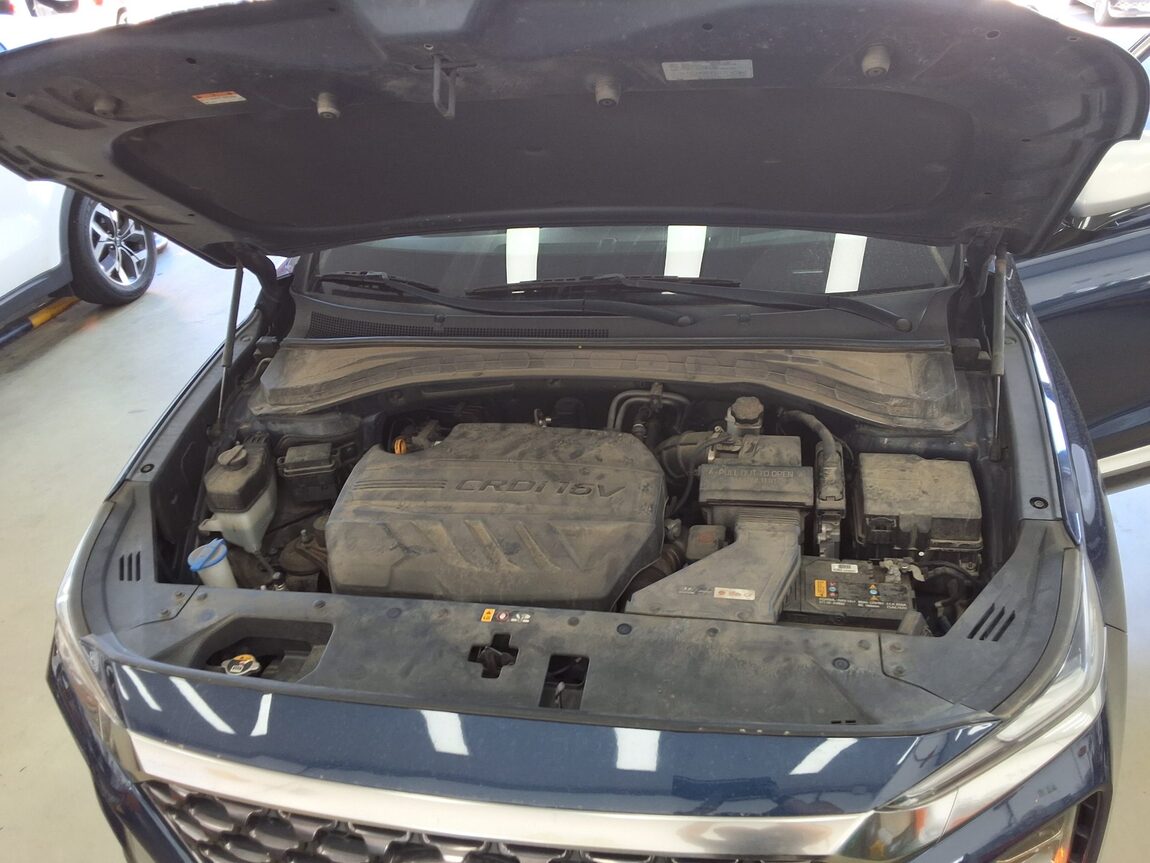 HYUNDAI SANTA FE (TM) R2.2 2WD INSPIRATION 2019 - zdjęcie 20