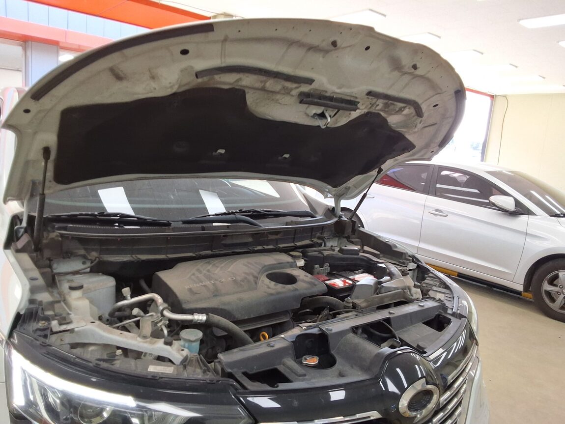RENAULT (SAMSUNG) QM6 2.0 GDe 2WD LE 2019 - zdjęcie 18
