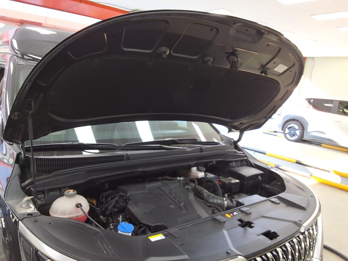 KIA NEW CARNIVAL (KA4) HI-LIMOUSINE SPECIAL BODY LM 2023 - zdjęcie 18