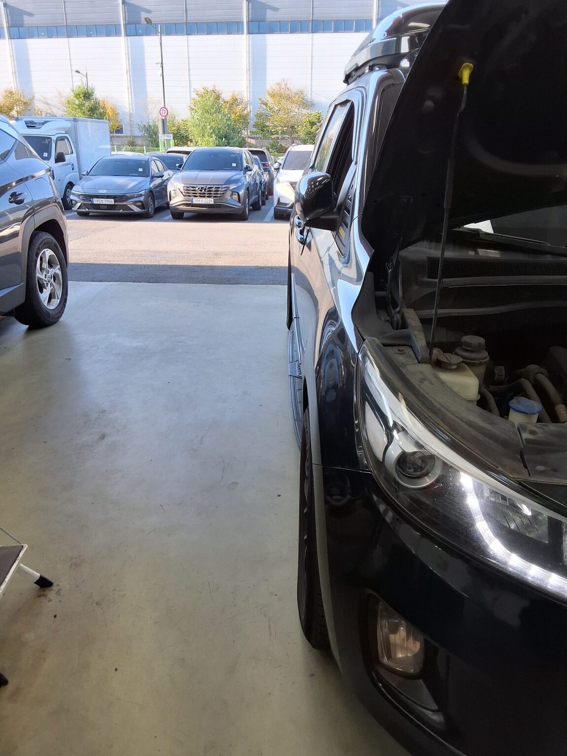 KIA ALL NEW CARNIVAL 11-SEATER DIESEL DELUXE 2016 - zdjęcie 36