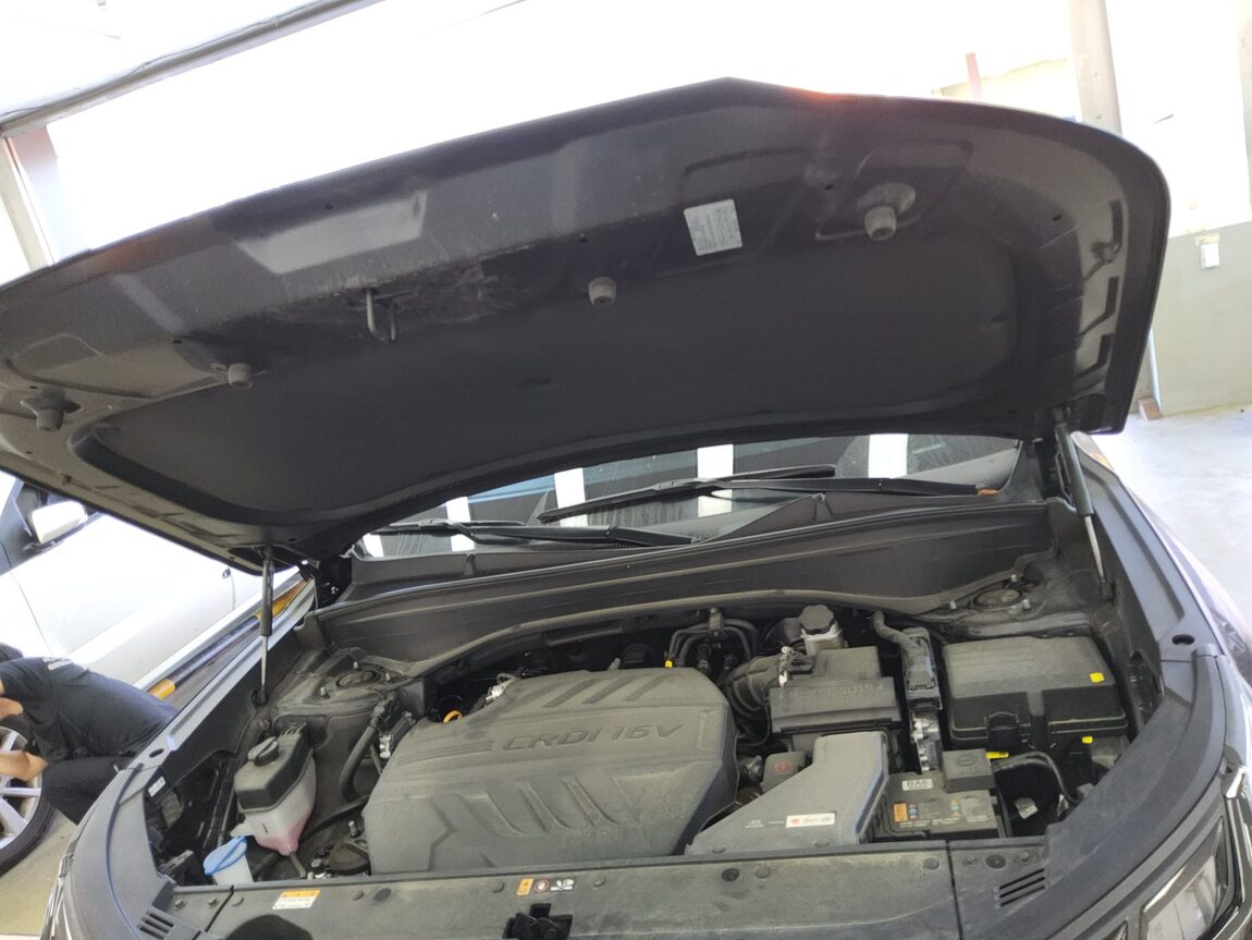 HYUNDAI THE NEW PALISADE 2.2 DIESEL 2WD LE BLANC 2024 - zdjęcie 20