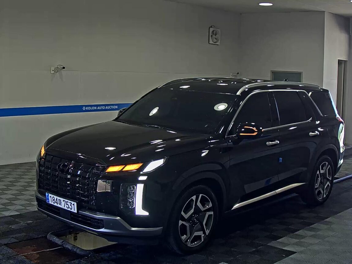 HYUNDAI THE NEW PALISADE 2.2 DIESEL 2WD LE BLANC 2024 - zdjęcie 2