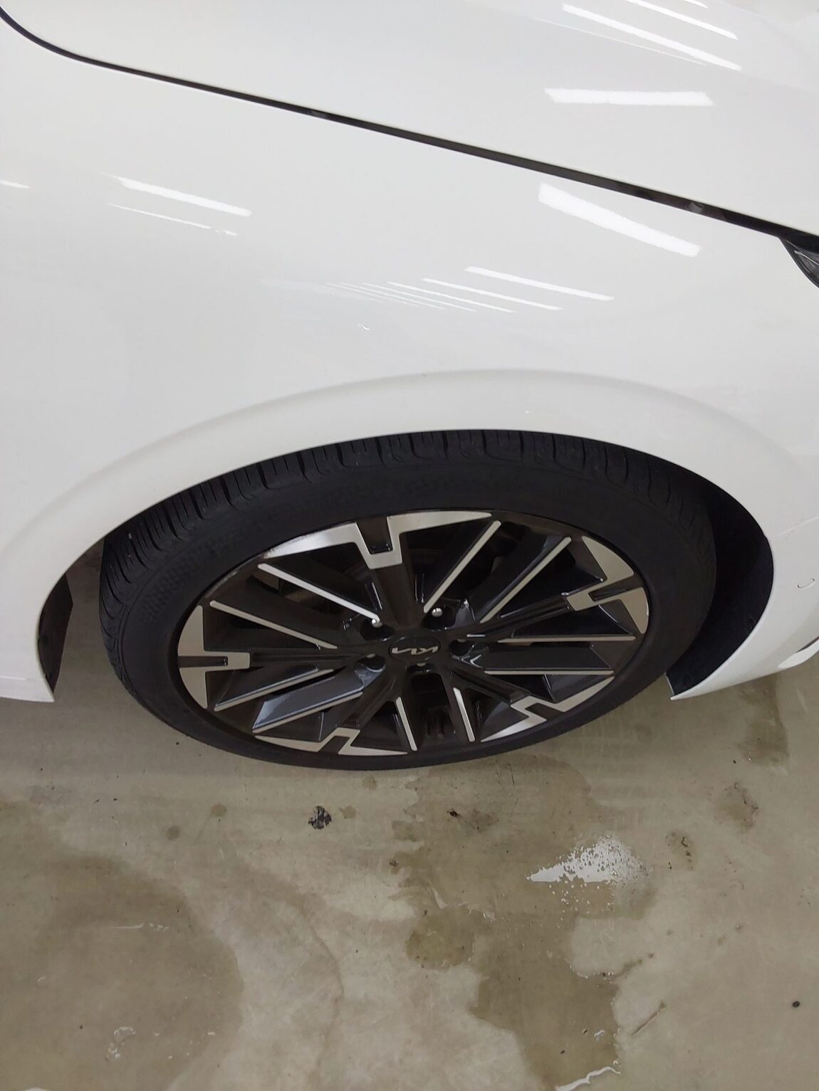 KIA THE NEW K5 (DL3) 1.6 GASOLINE TURBO NOBLESSE 2024 - zdjęcie 21