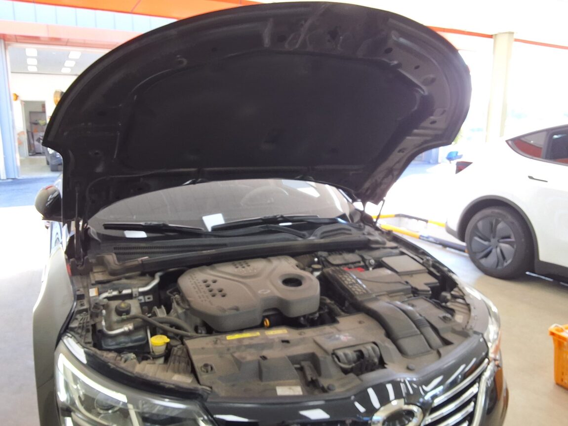 RENAULT (SAMSUNG) SM6 2.0 GDe SE 2016 - zdjęcie 18