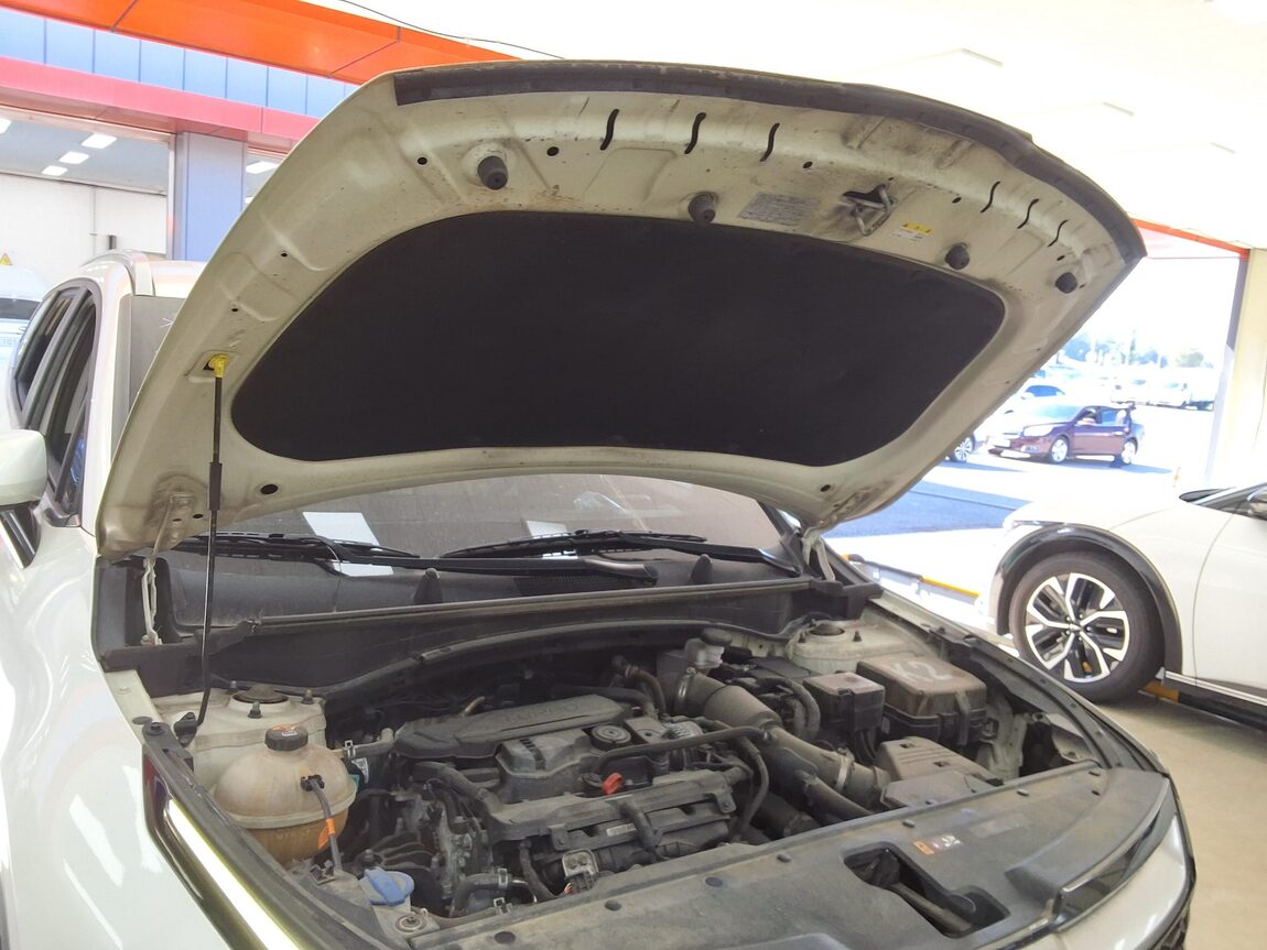 KIA THE ALL NEW SPORTAGE 1.6 GASOLINE 2WD NOBLESSE 2022 - zdjęcie 18