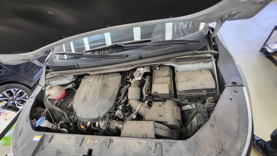 KIA NEW CARNIVAL (KA4) 9-SEATER DIESEL NOBLESSE 2023 - zdjęcie 21