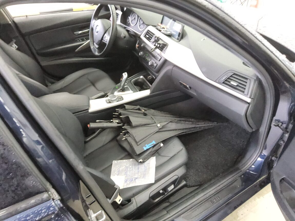 BMW 3 SERIES (6TH GEN) 320d ED EDITION 2015 - zdjęcie 14