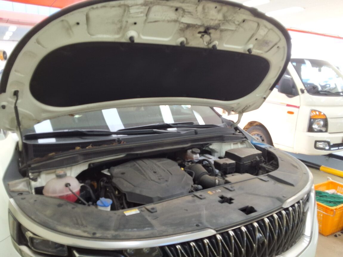 KIA NEW CARNIVAL (KA4) 9-SEATER DIESEL SIGNATURE 2023 - zdjęcie 18