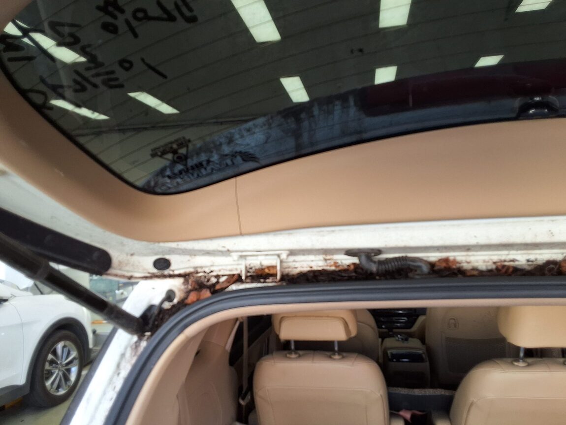 KIA ALL NEW CARNIVAL 7-SEATER LIMOUSINE DIESEL VIP 2017 - zdjęcie 30