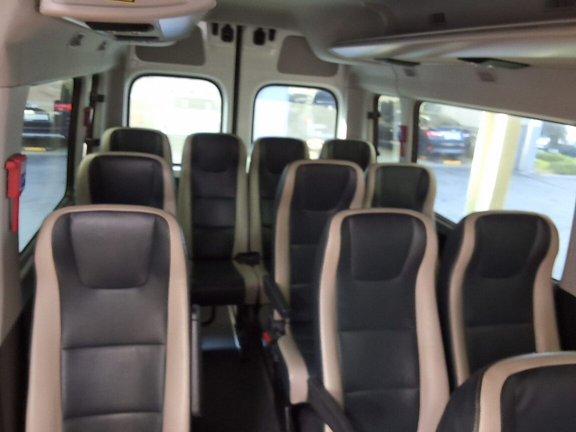HYUNDAI SOLATI 15-SEATER LUXURY 2020 - zdjęcie 25