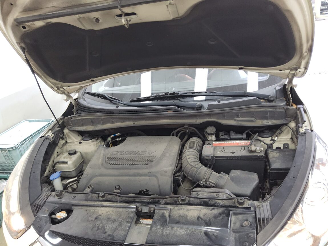 HYUNDAI TUCSON ix DIESEL R20 2WD LX20 LUXURY 2011 - zdjęcie 19