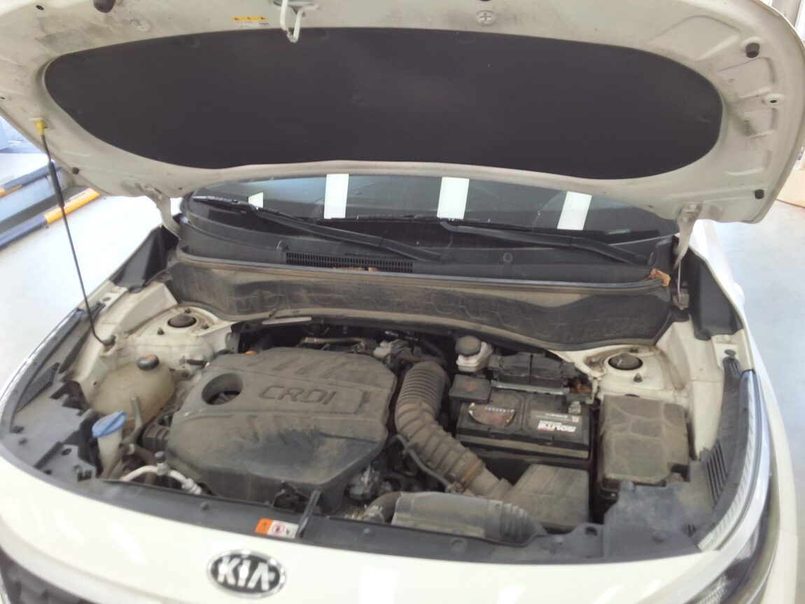 KIA SELTOS 1.6 DIESEL 2WD TRENDY 2022 - zdjęcie 19