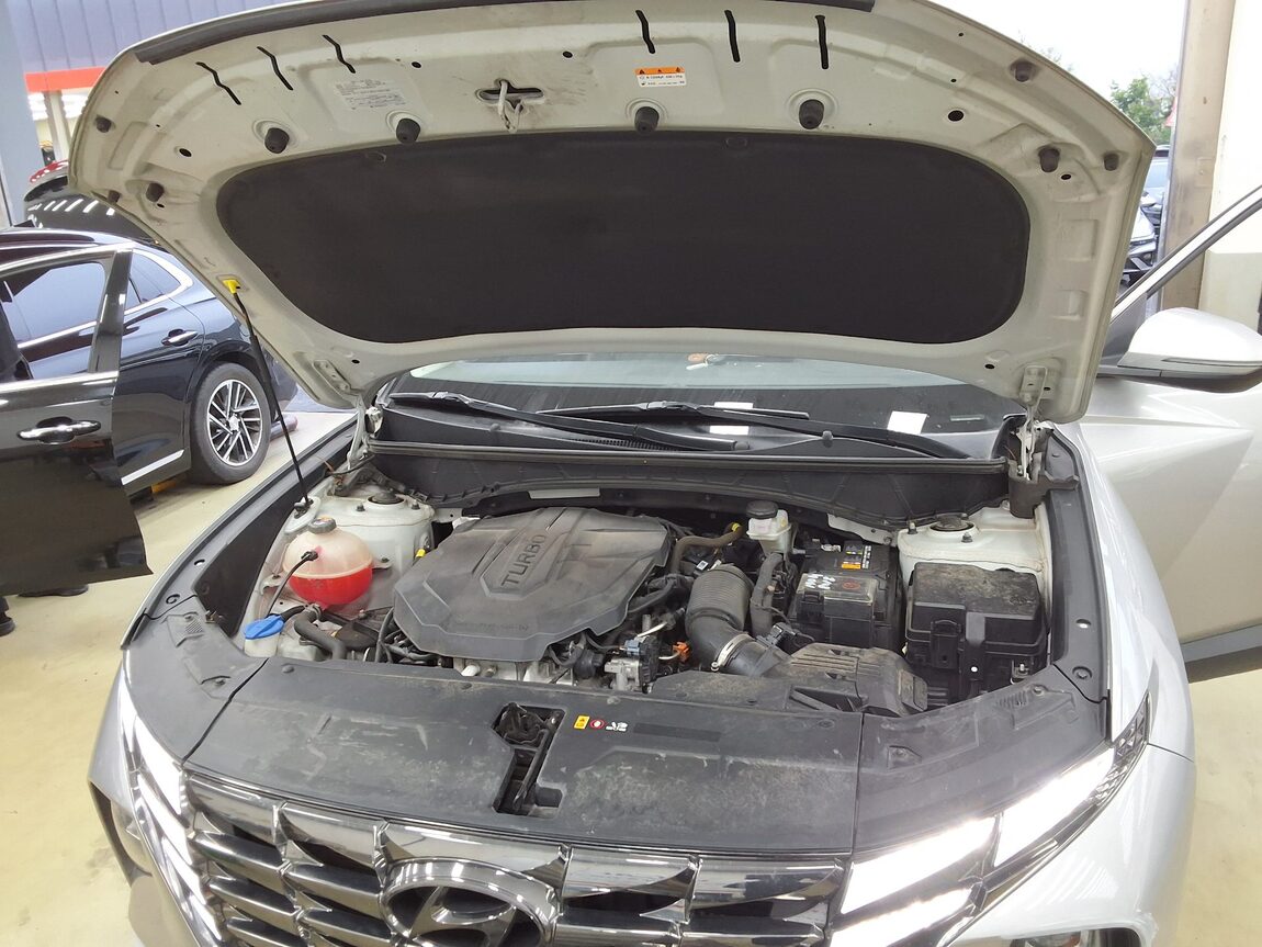 HYUNDAI THE ALL NEW TUCSON 2.0 DIESEL 2WD PREMIUM 2022 - zdjęcie 19