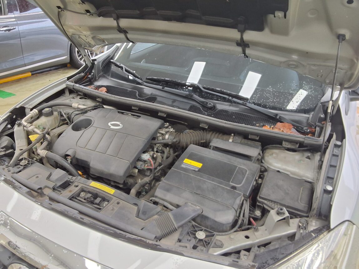 RENAULT (SAMSUNG) NEW SM3 1.6 LE 2010 - zdjęcie 18