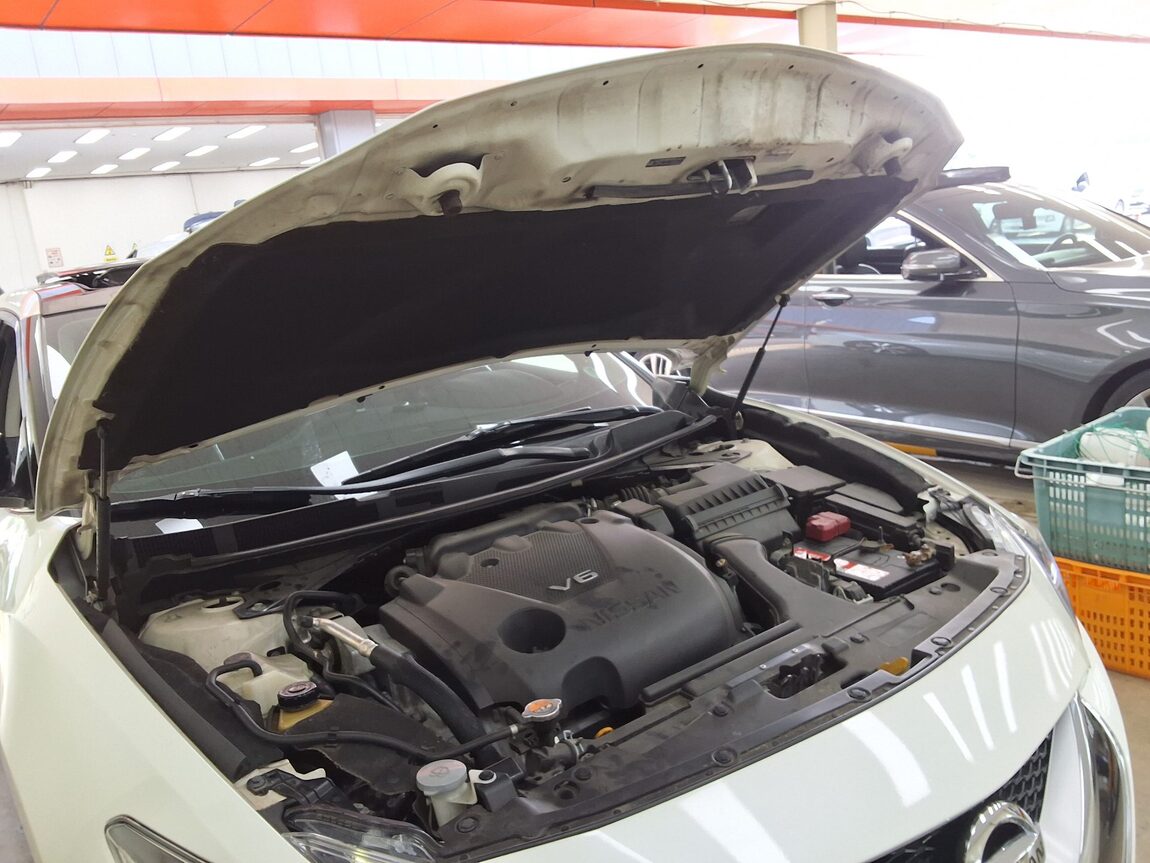 NISSAN MAXIMA 3.5 PLATINUM 2017 - zdjęcie 18