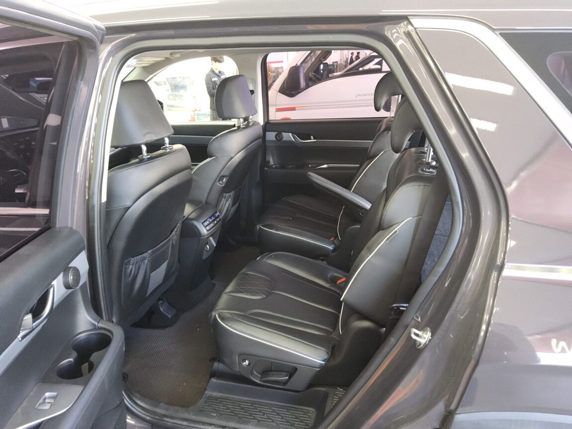 HYUNDAI PALISADE 3.8 GASOLINE AWD EXCLUSIVE 2019 - zdjęcie 12