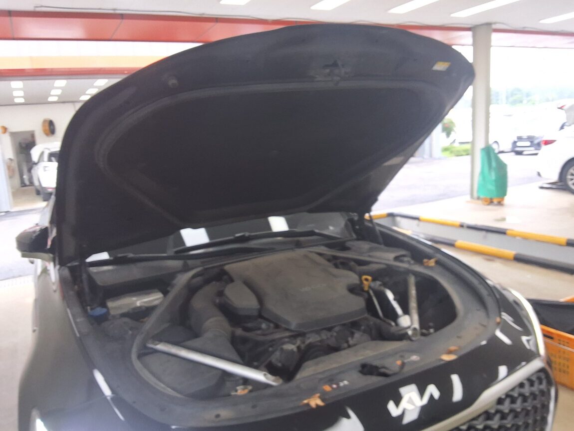 KIA THE NEW K9 (RJ) 3.8 GASOLINE AWD PLATINUM BEST SELECTION I 2022 - zdjęcie 18