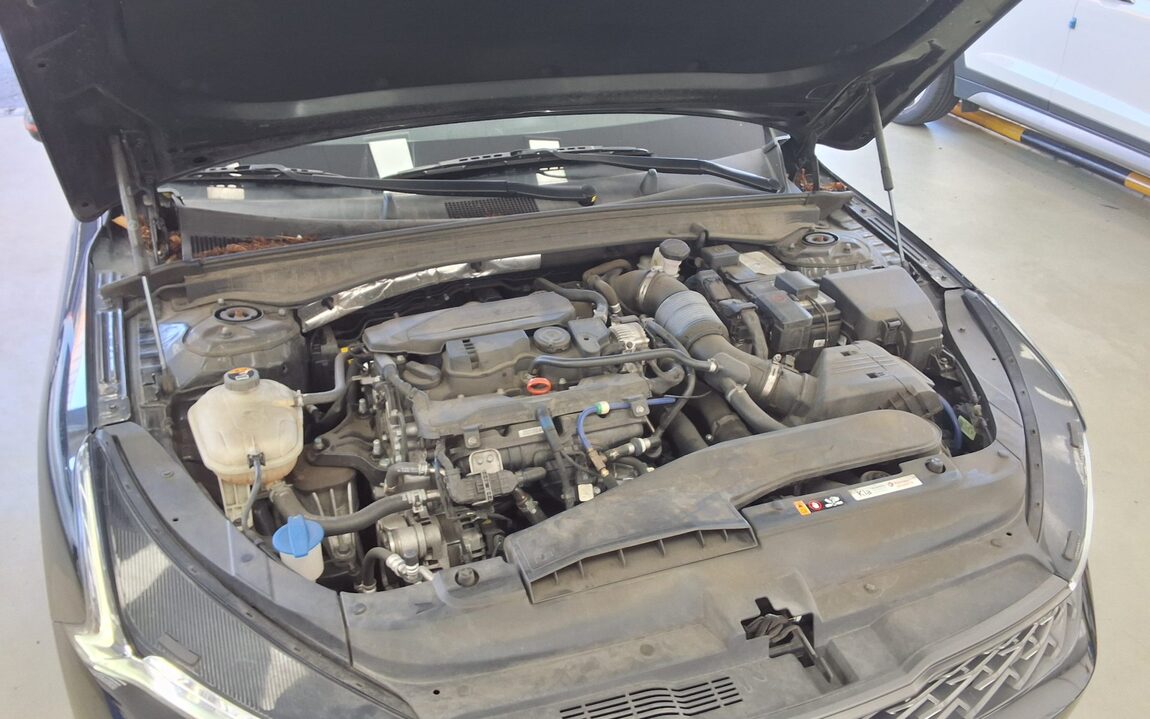 KIA NEW K5 (DL3) 1.6 GASOLINE TURBO SIGNATURE 2022 - zdjęcie 22