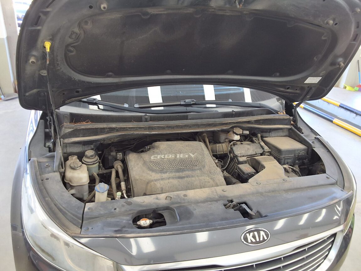 KIA ALL NEW CARNIVAL 11-SEATER DIESEL PRESTIGE 2015 - zdjęcie 19