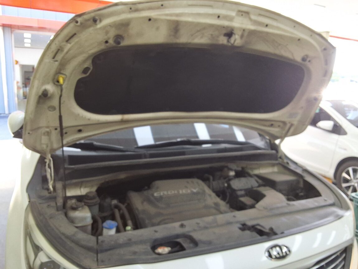KIA ALL NEW CARNIVAL 11-SEATER DIESEL PRESTIGE 2016 - zdjęcie 18