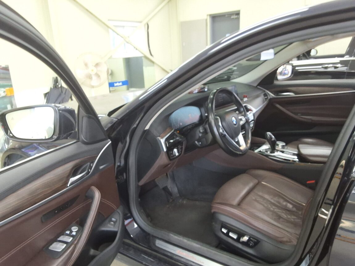 BMW 5 SERIES (7TH GEN) 520d xDRIVE LUXURY LINE PLUS 2019 - zdjęcie 11