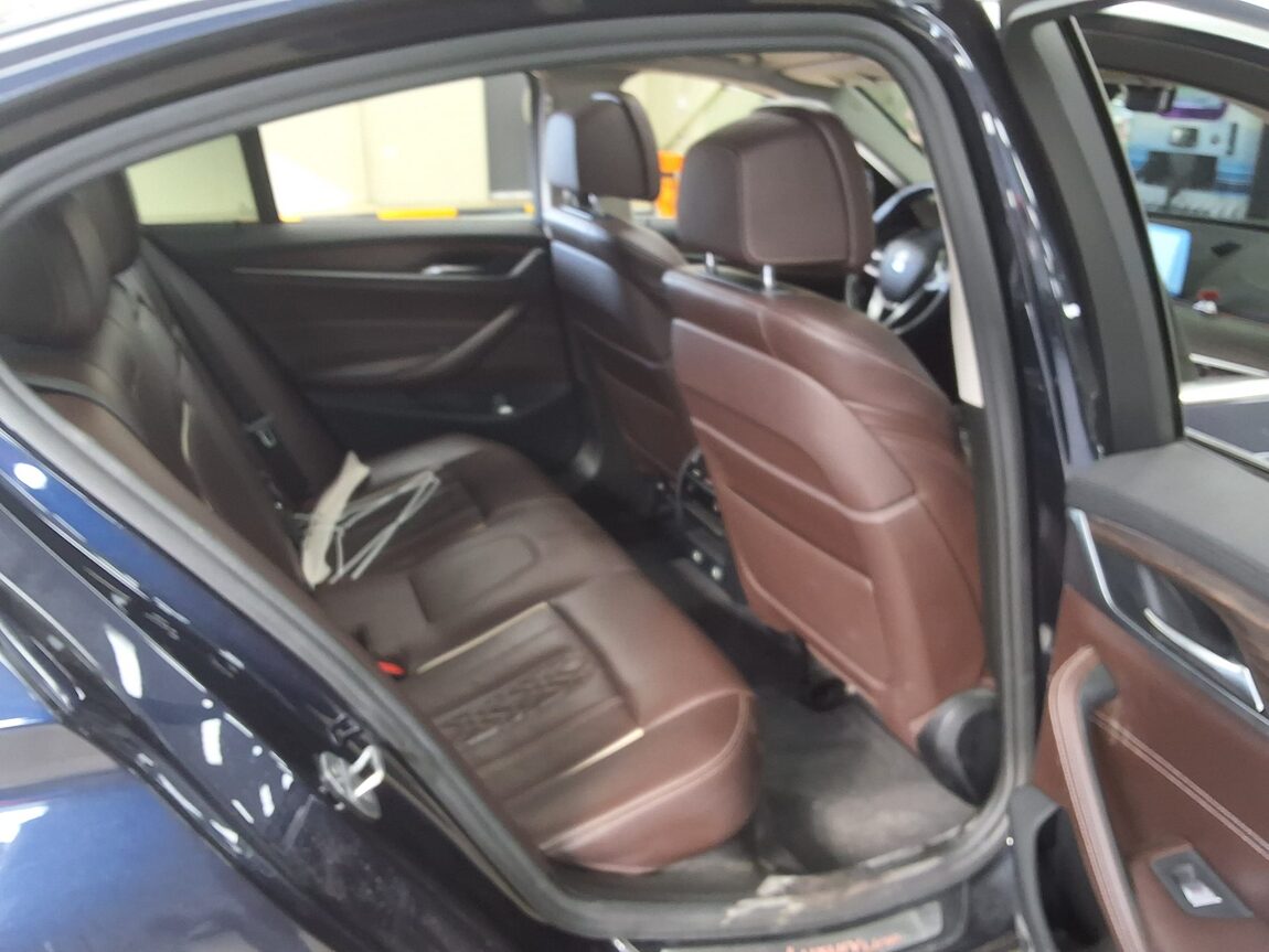 BMW 5 SERIES (7TH GEN) 520d xDRIVE LUXURY LINE PLUS 2019 - zdjęcie 14