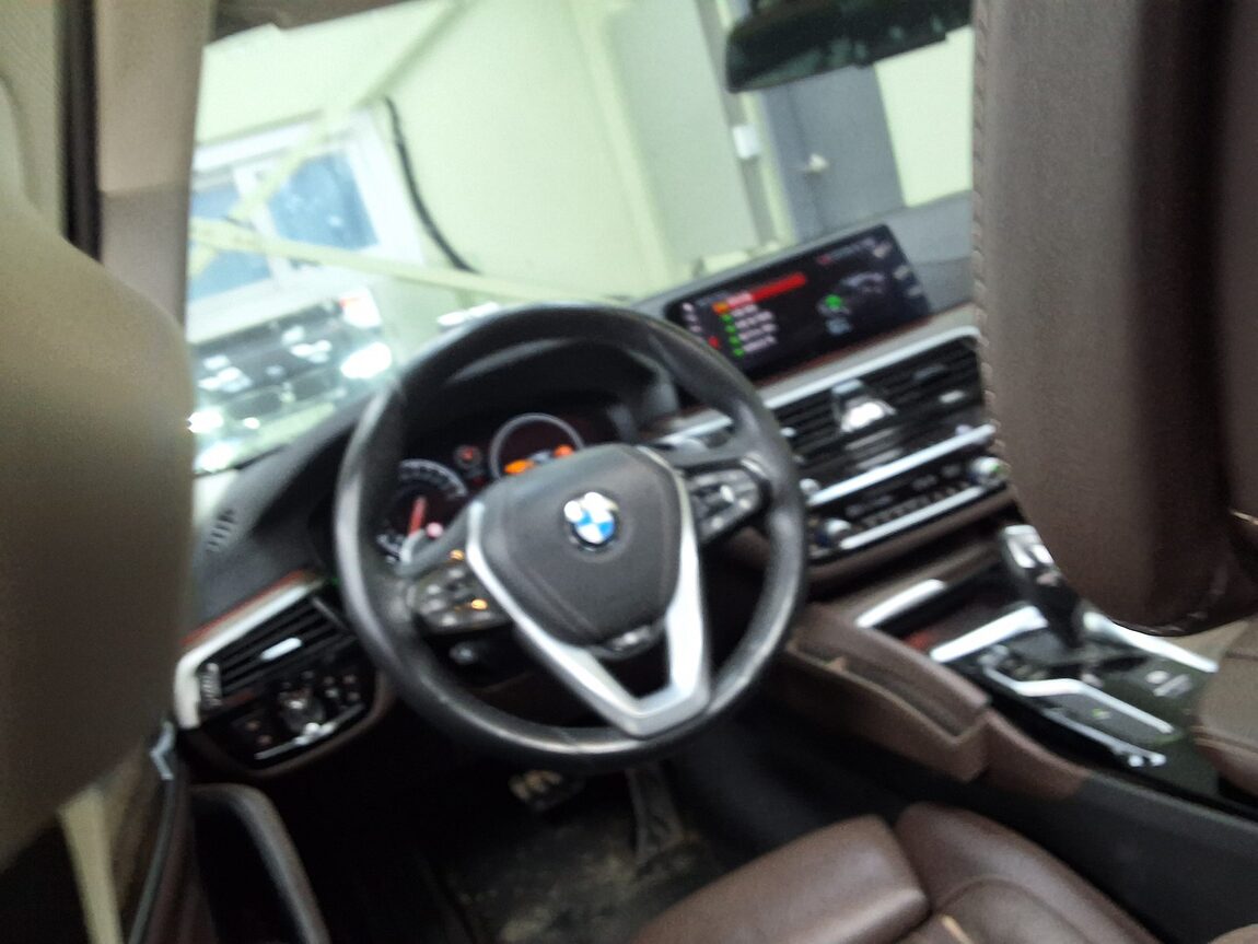 BMW 5 SERIES (7TH GEN) 520d LUXURY LINE PLUS 2019 - zdjęcie 12