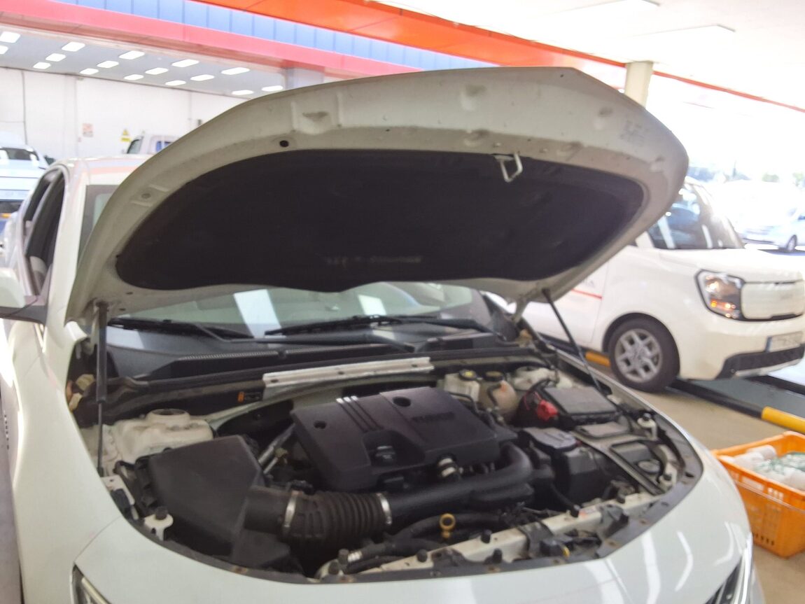 CHEVROLET (DAEWOO) THE NEW MALIBU 1.35 GASOLINE LS DELUXE 2019 - zdjęcie 18