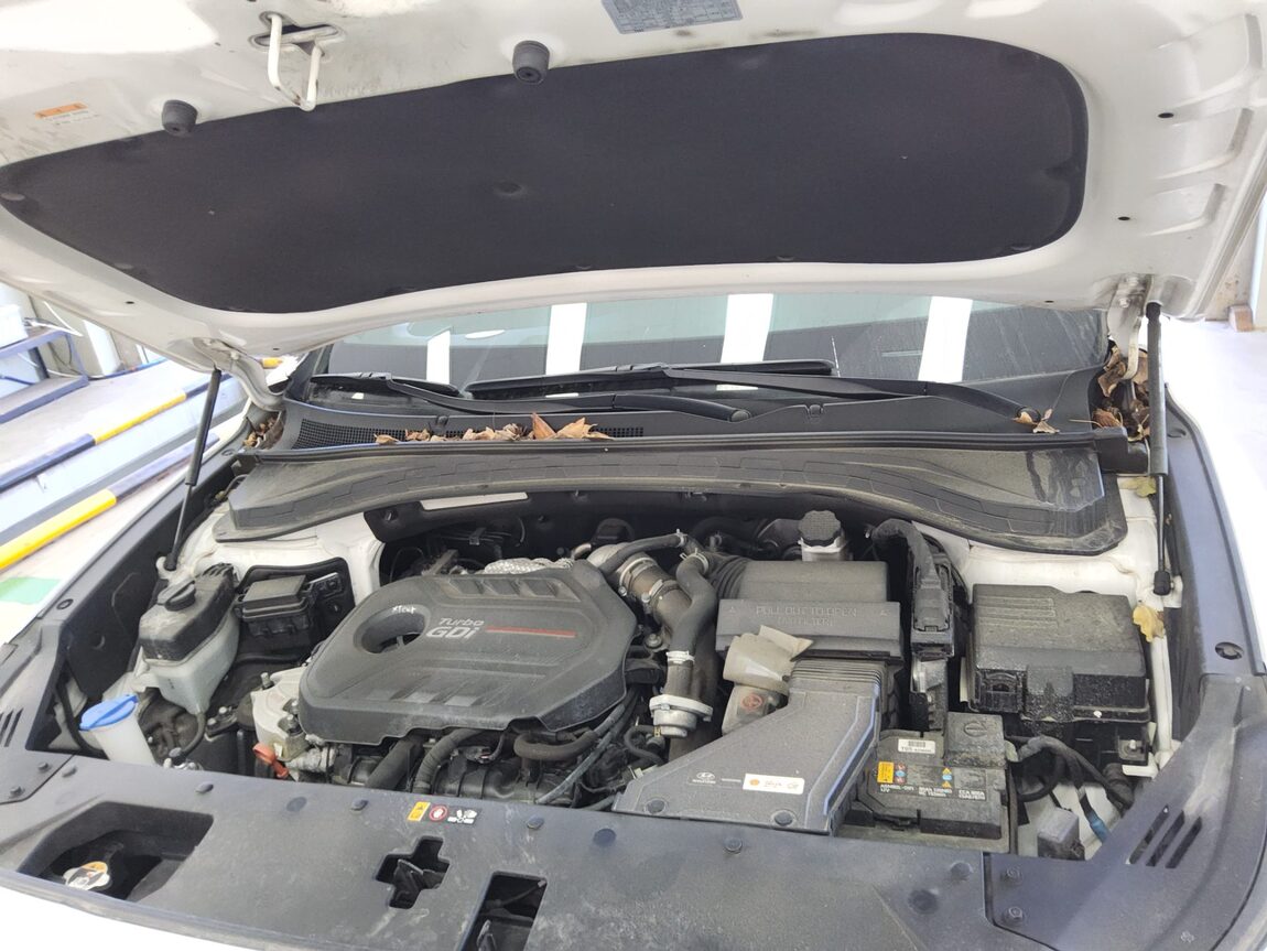 HYUNDAI SANTA FE (TM) 2.0T GDi 2WD PRESTIGE 2020 - zdjęcie 20