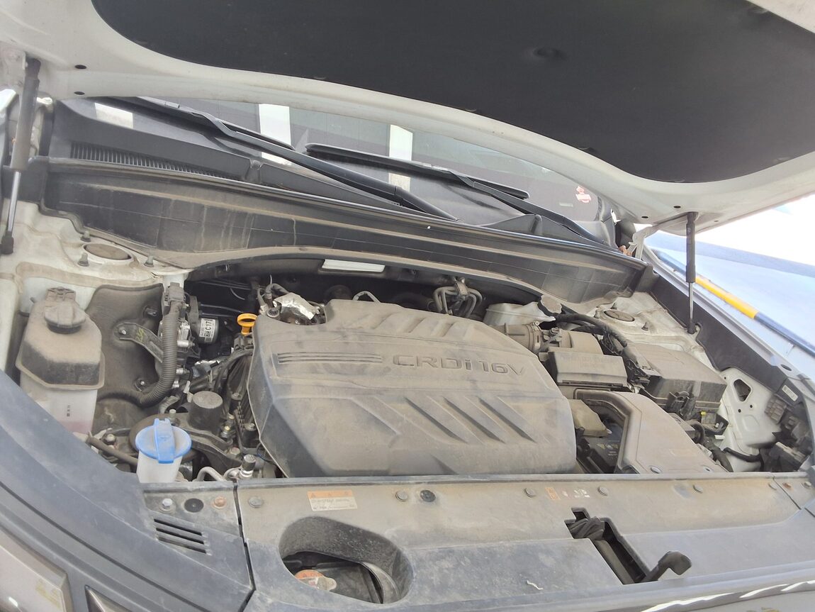 HYUNDAI THE NEW PALISADE 2.2 DIESEL 2WD PRESTIGE 2023 - zdjęcie 20