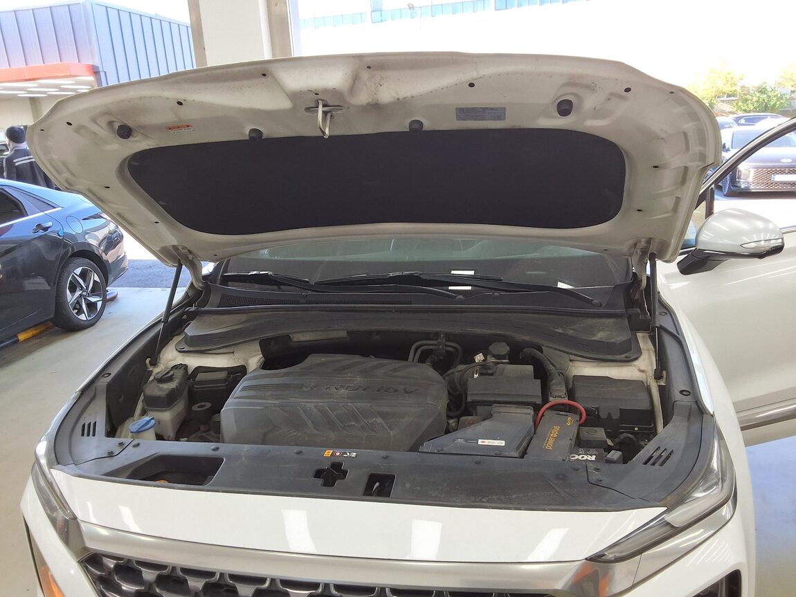 HYUNDAI SANTA FE (TM) R2.2 2WD INSPIRATION 2019 - zdjęcie 20