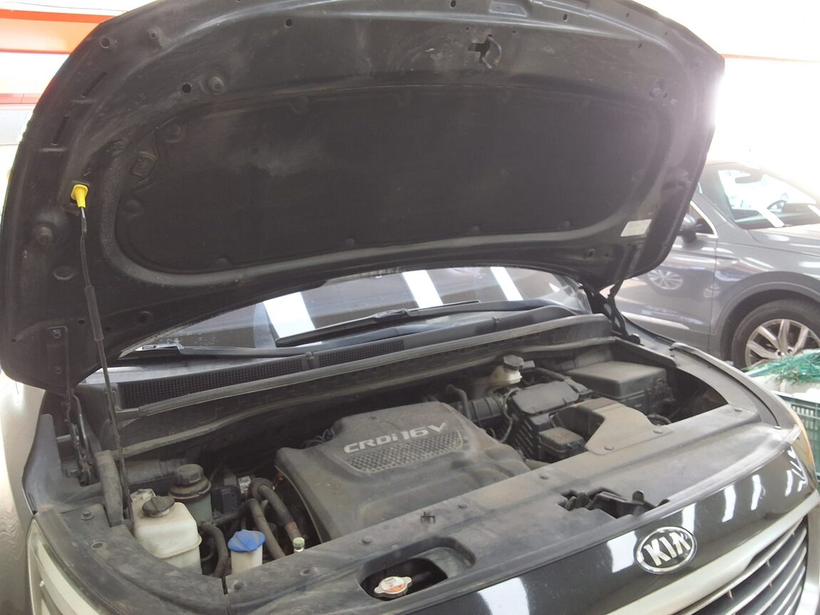 KIA ALL NEW CARNIVAL 11-SEATER DIESEL LUXURY 2015 - zdjęcie 18