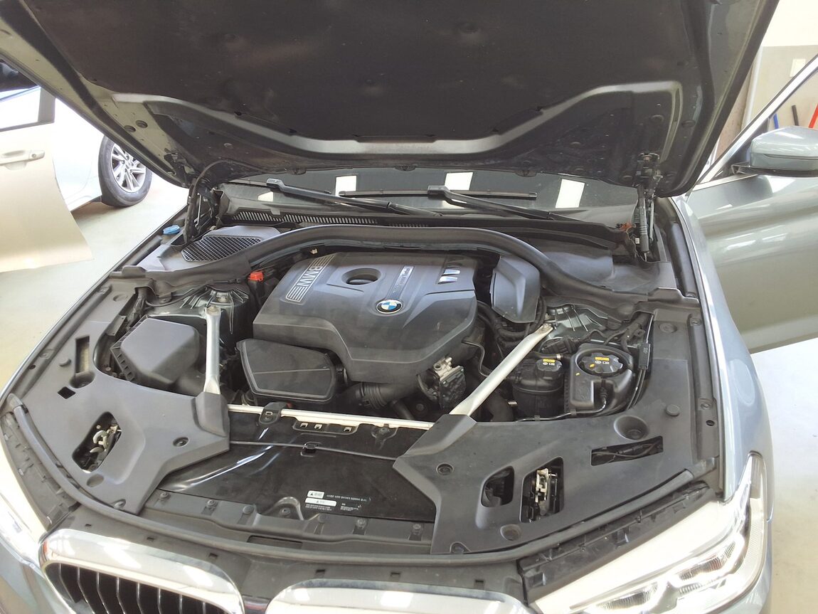 BMW 5 SERIES (7TH GEN) 530i xDRIVE M SPORT PACK PLUS 2018 - zdjęcie 21
