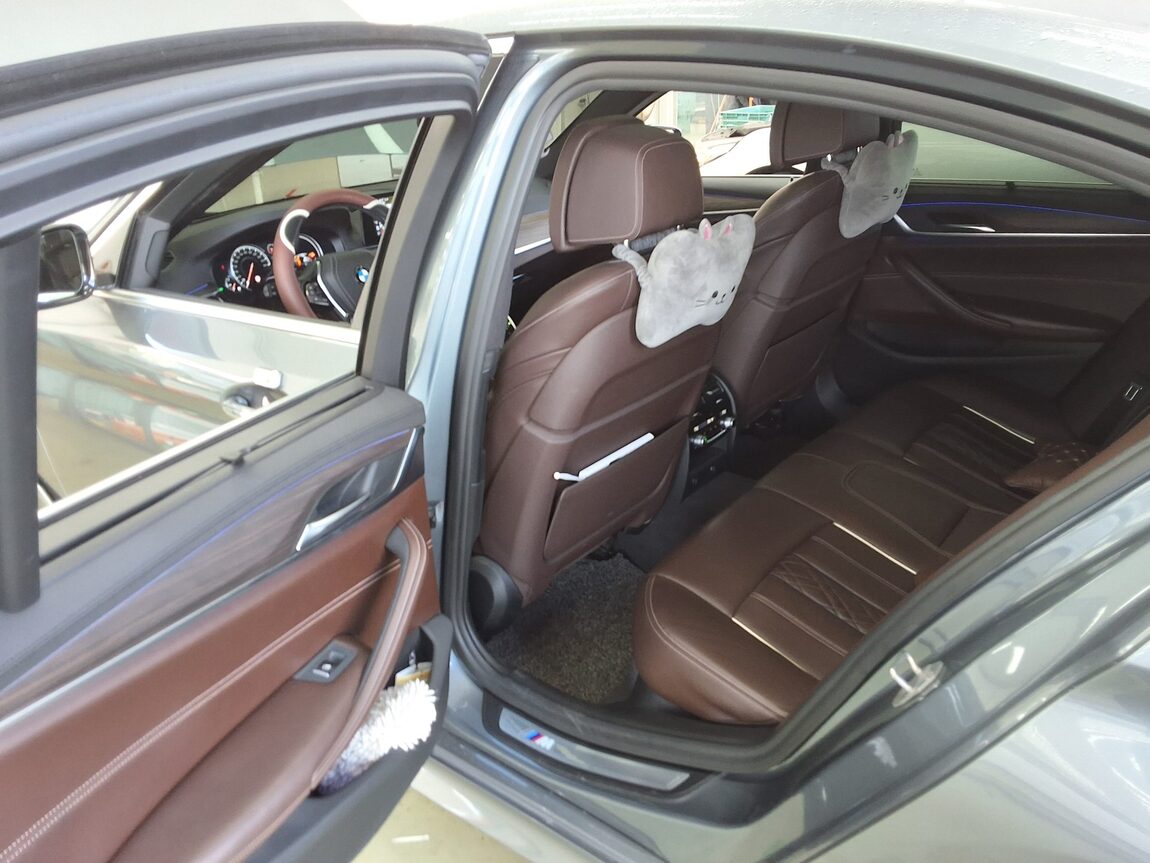 BMW 5 SERIES (7TH GEN) 530i xDRIVE M SPORT PACK PLUS 2018 - zdjęcie 12