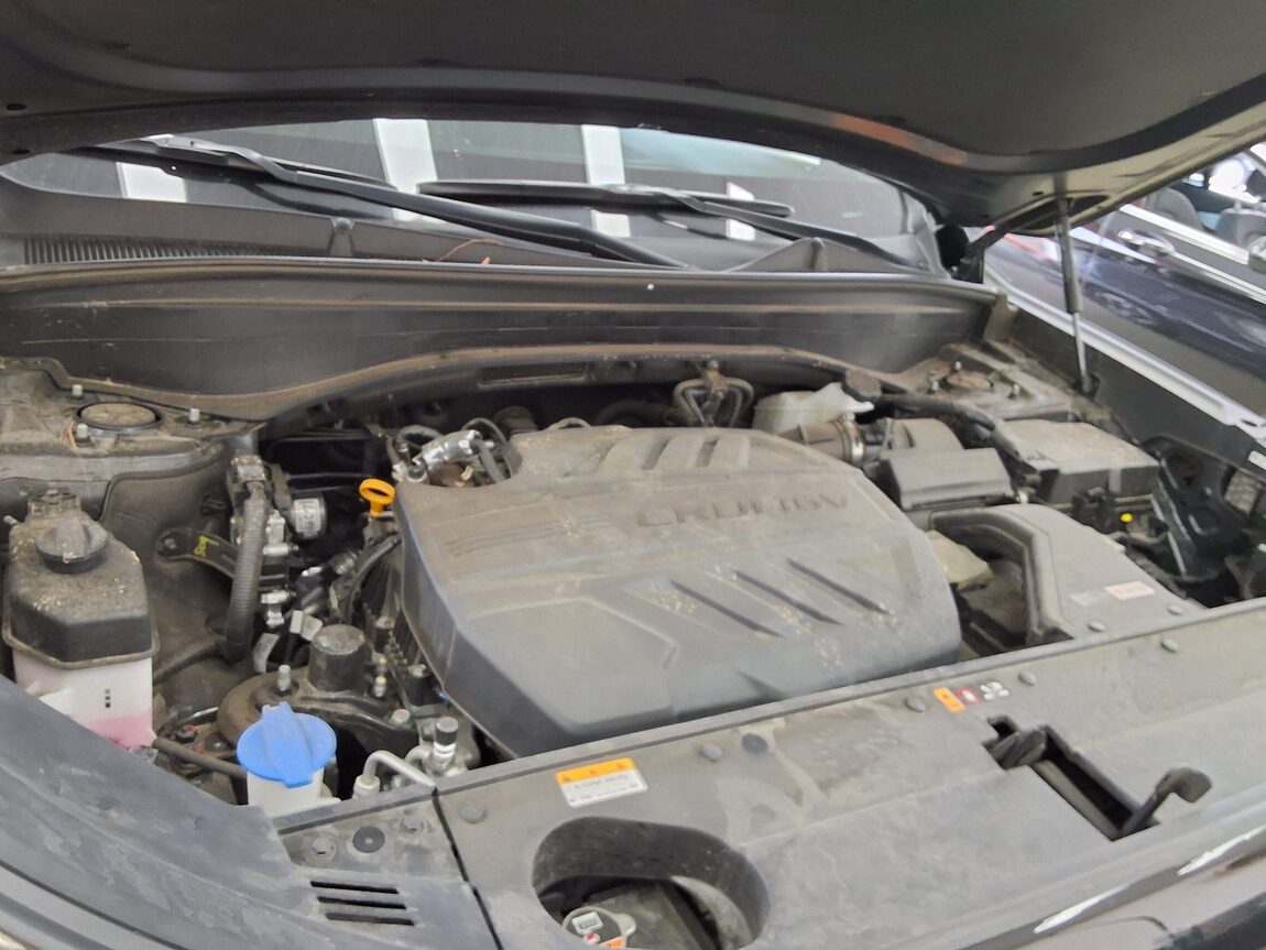 HYUNDAI THE NEW PALISADE 2.2 DIESEL 2WD EXCLUSIVE 2023 - zdjęcie 20