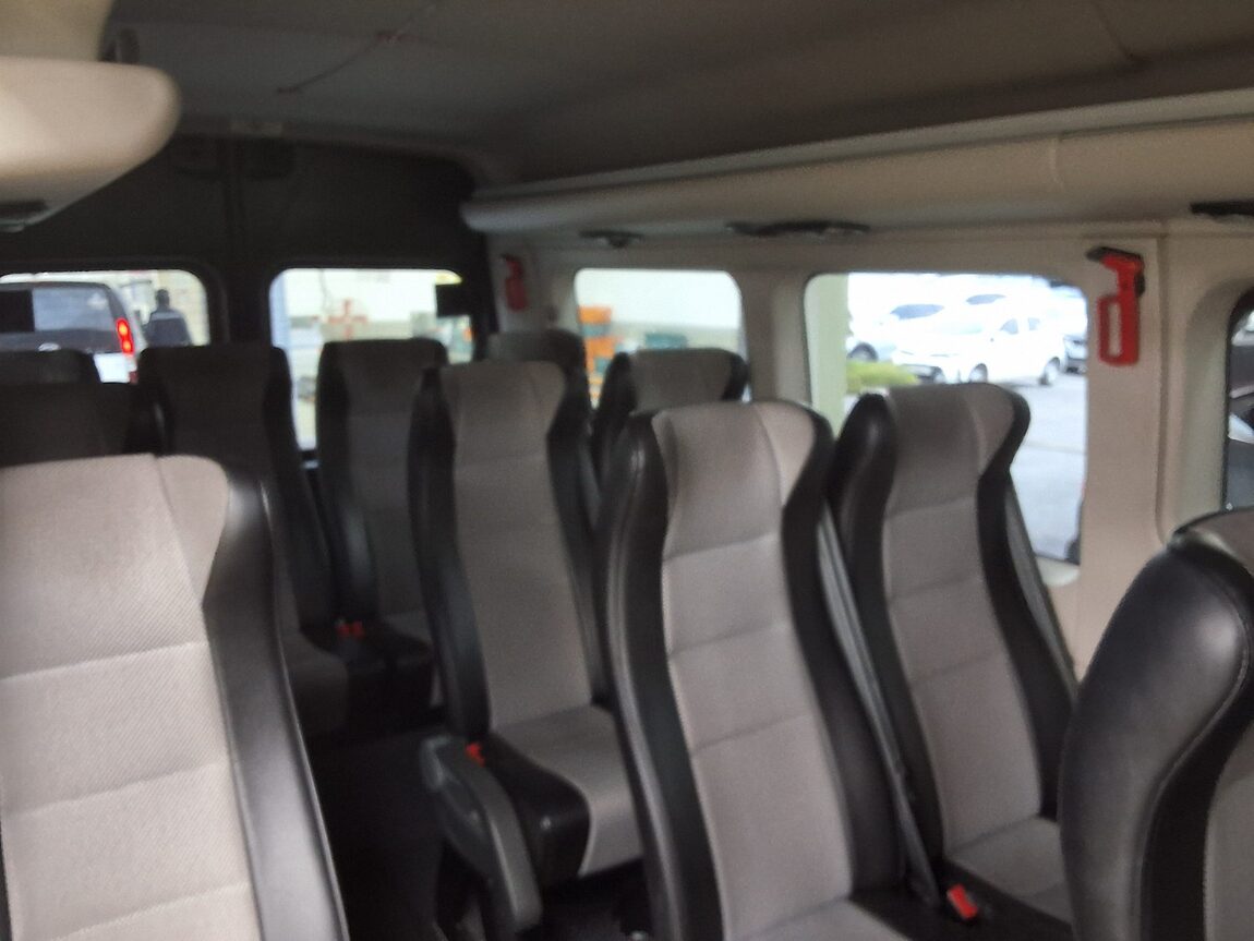 RENAULT (SAMSUNG) NEW MASTER 15-SEATER 2020 - zdjęcie 13