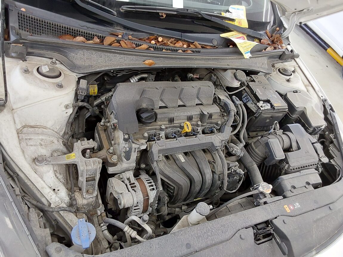 HYUNDAI AVANTE (CN7) 1.6 GASOLINE MODERN 2021 - zdjęcie 18