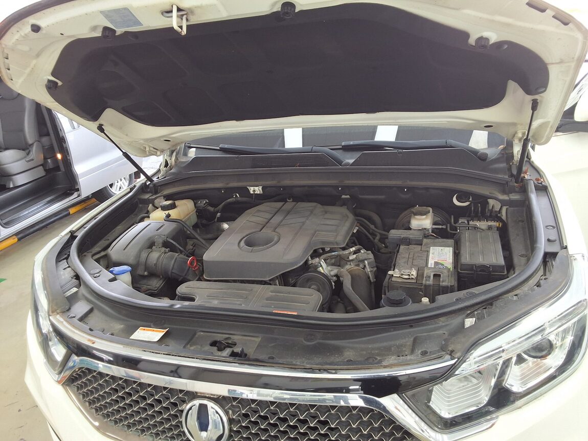 KG MOBILITY (SSANGYONG) G4 REXTON 2.2 2WD EURASIA EDITION 2018 - zdjęcie 19