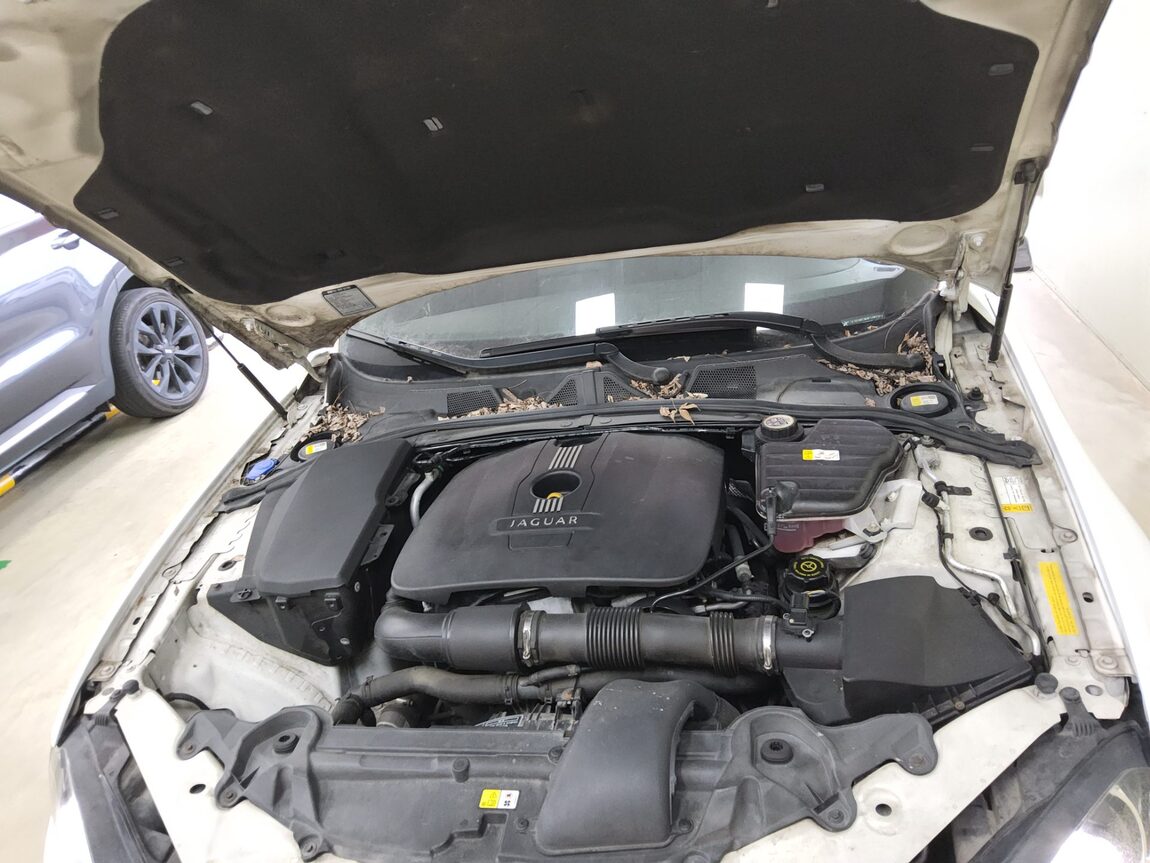 JAGUAR XF 2 LUXURY 2013 - zdjęcie 22
